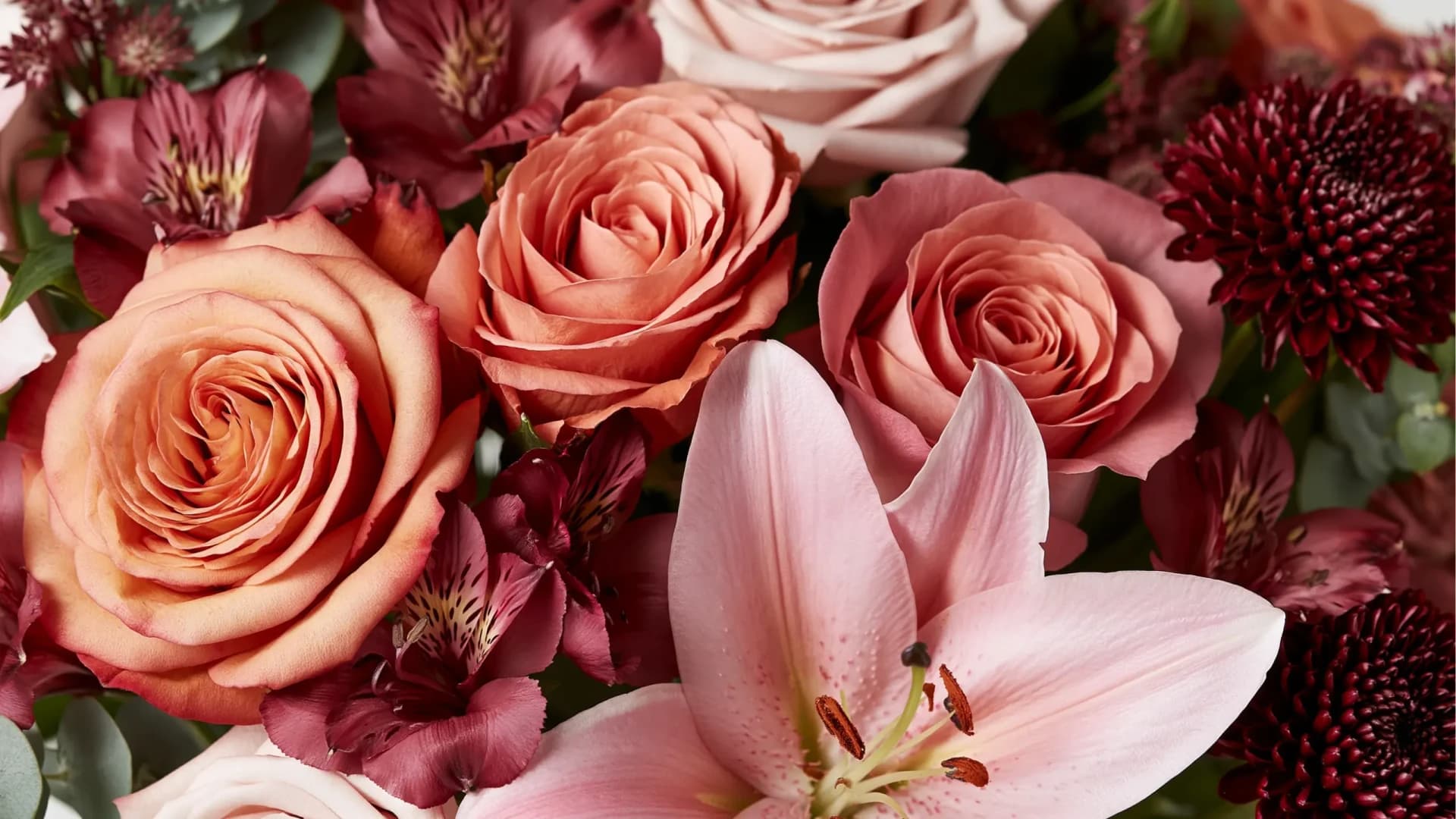 Close-up of a hand-arranged bouquet with peach and coral roses, deep burgundy dahlias, and pink alstroemeria